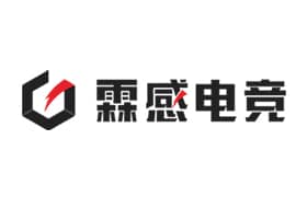 江西省霖感電競娛樂傳媒有限公司